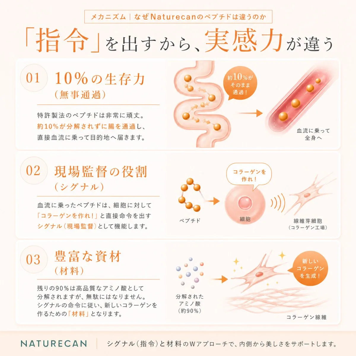 コラーゲンペプチド