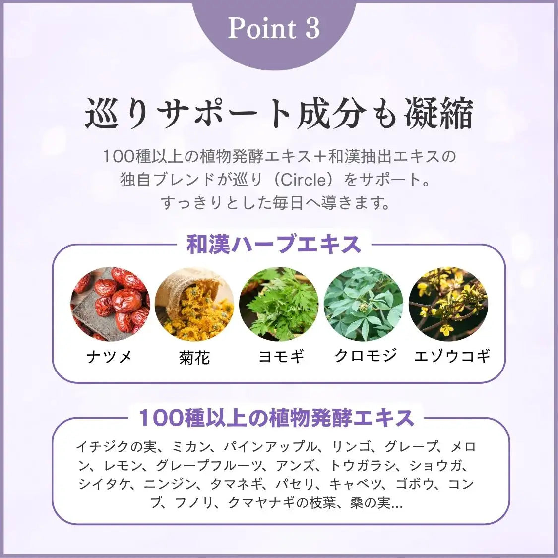 CIRCLE Fe(鉄分美容ドリンク)