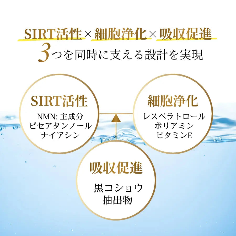 Longevity(ロンジェビティ)