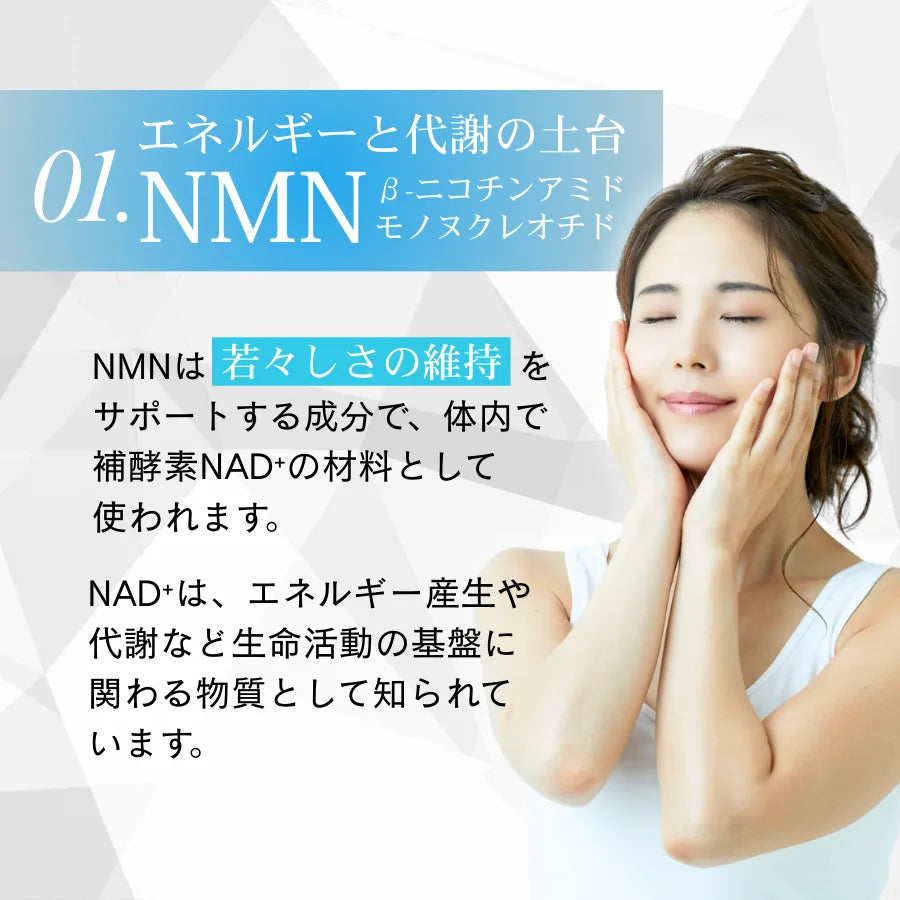 Longevity(ロンジェビティ)