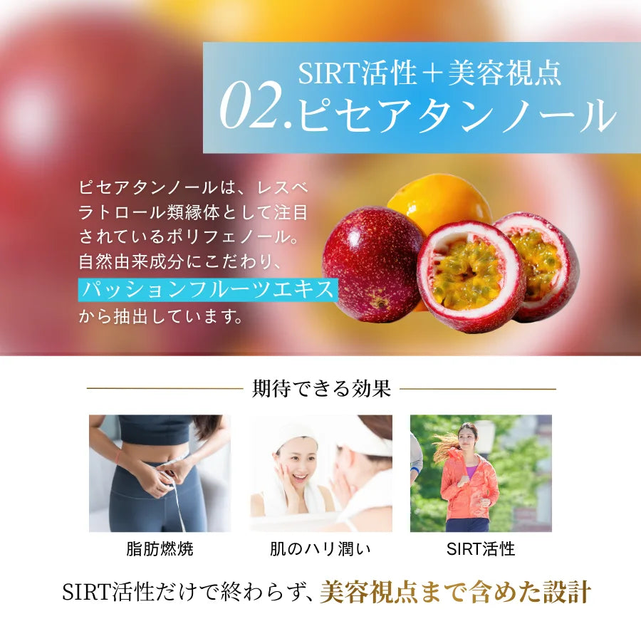 Longevity(ロンジェビティ)