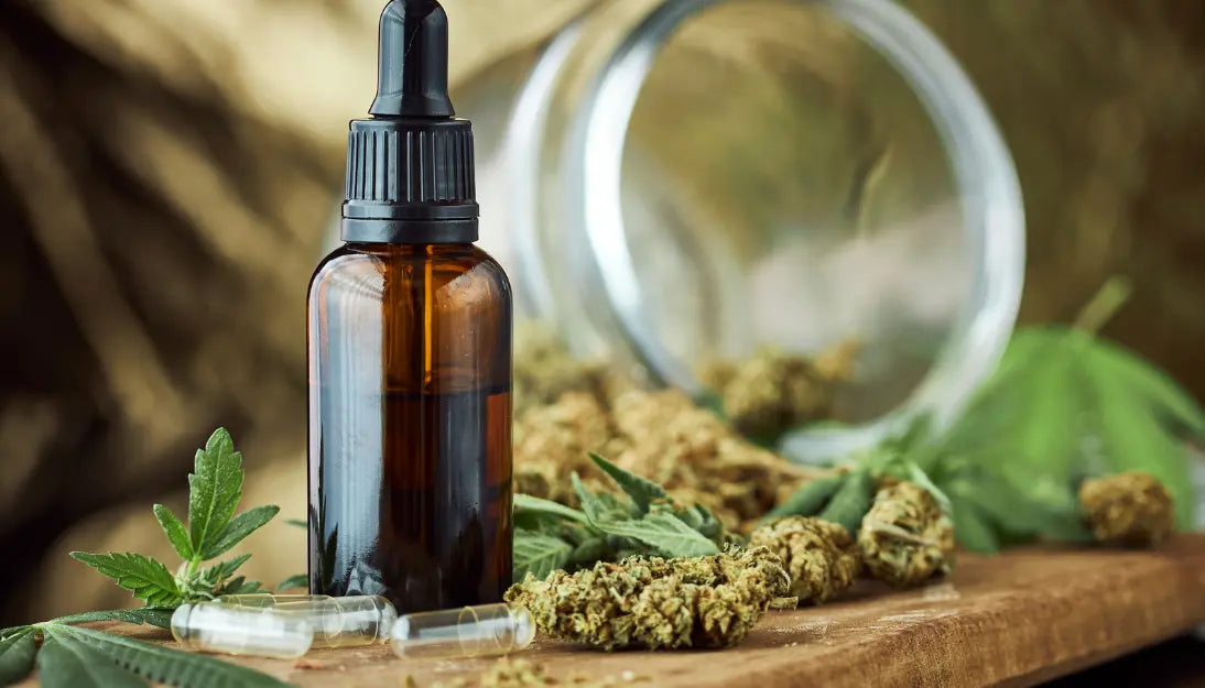 【カンナビノイドってなに？】CBD・CBN・CBGの違いやはたらきをわかりやすく解説