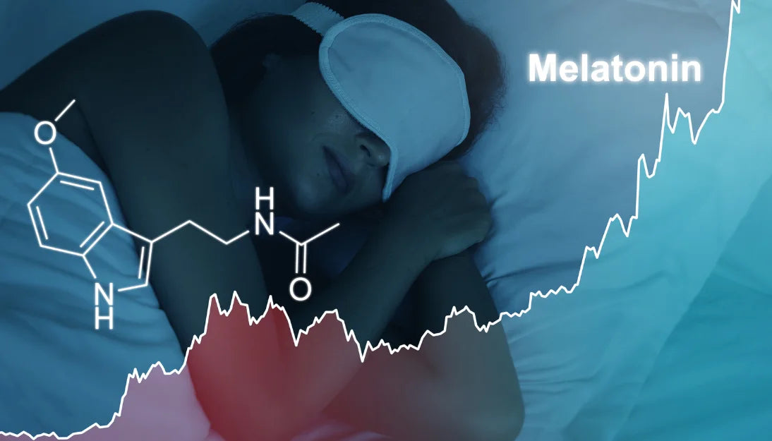 睡眠リズムを整えたい人へ｜メラトニンの基礎知識と活用ポイント