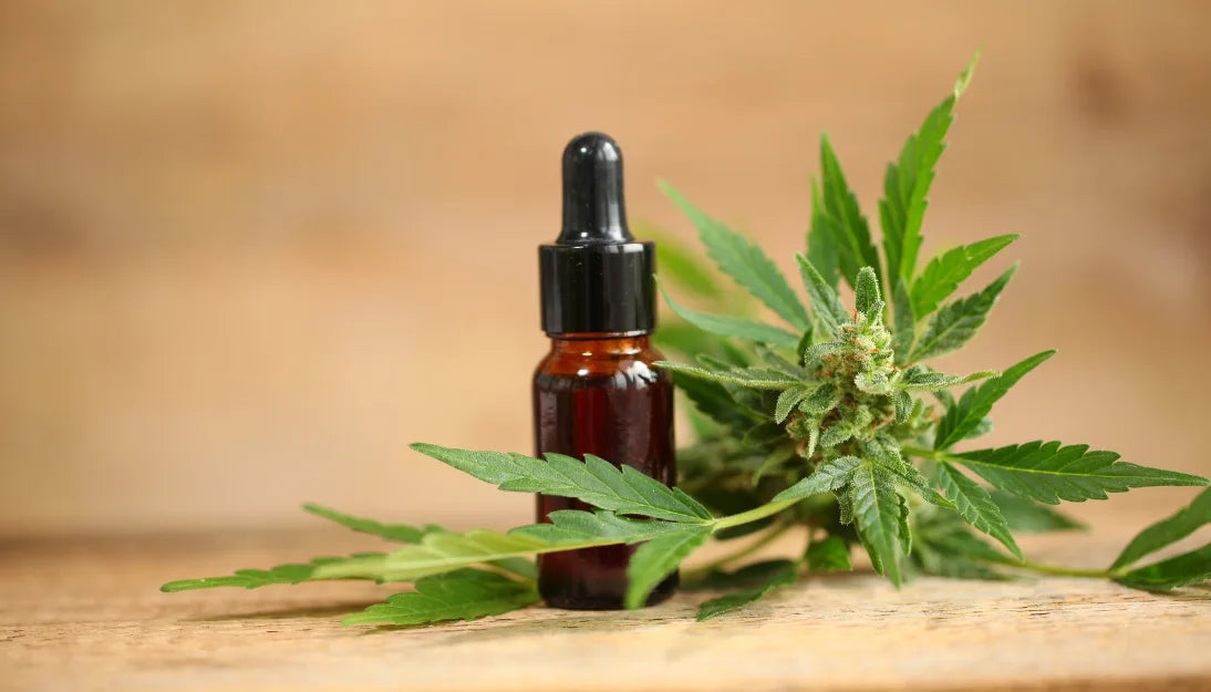 CBDとは？CBDの初心者完全ガイド：効果や注意点