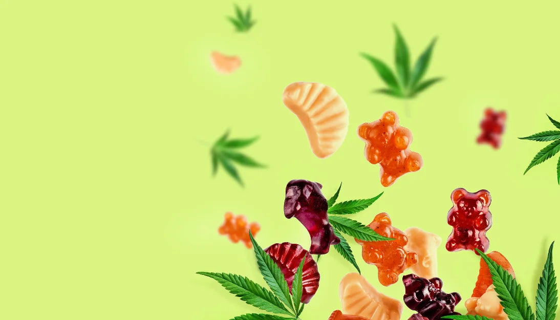 CBDグミと「大麻グミ（HHCHグミ）」：その違いは？