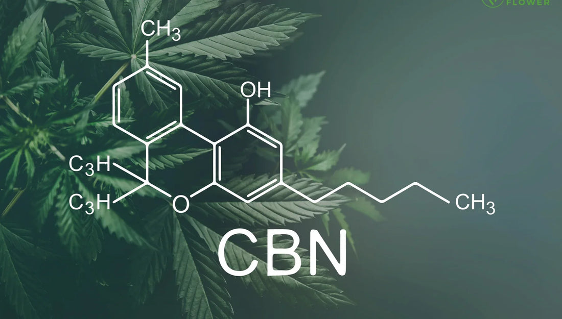希少なカンナビノイド: CBNとその効果は？