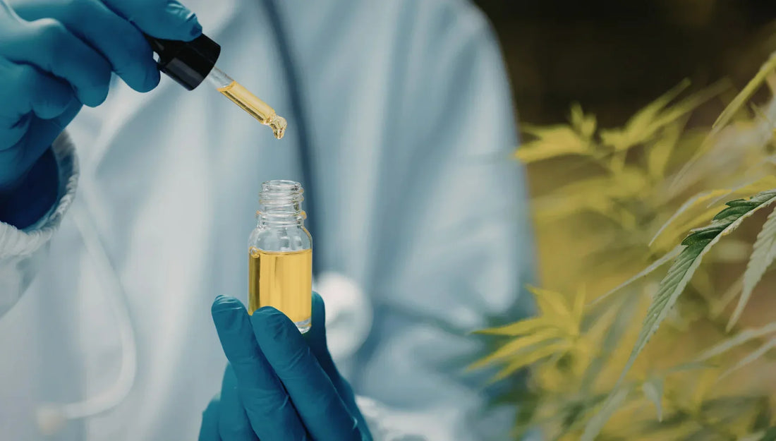 CBD製品におけるTHCのしきい値について：
CBDと医療大麻の違いを通じて考える