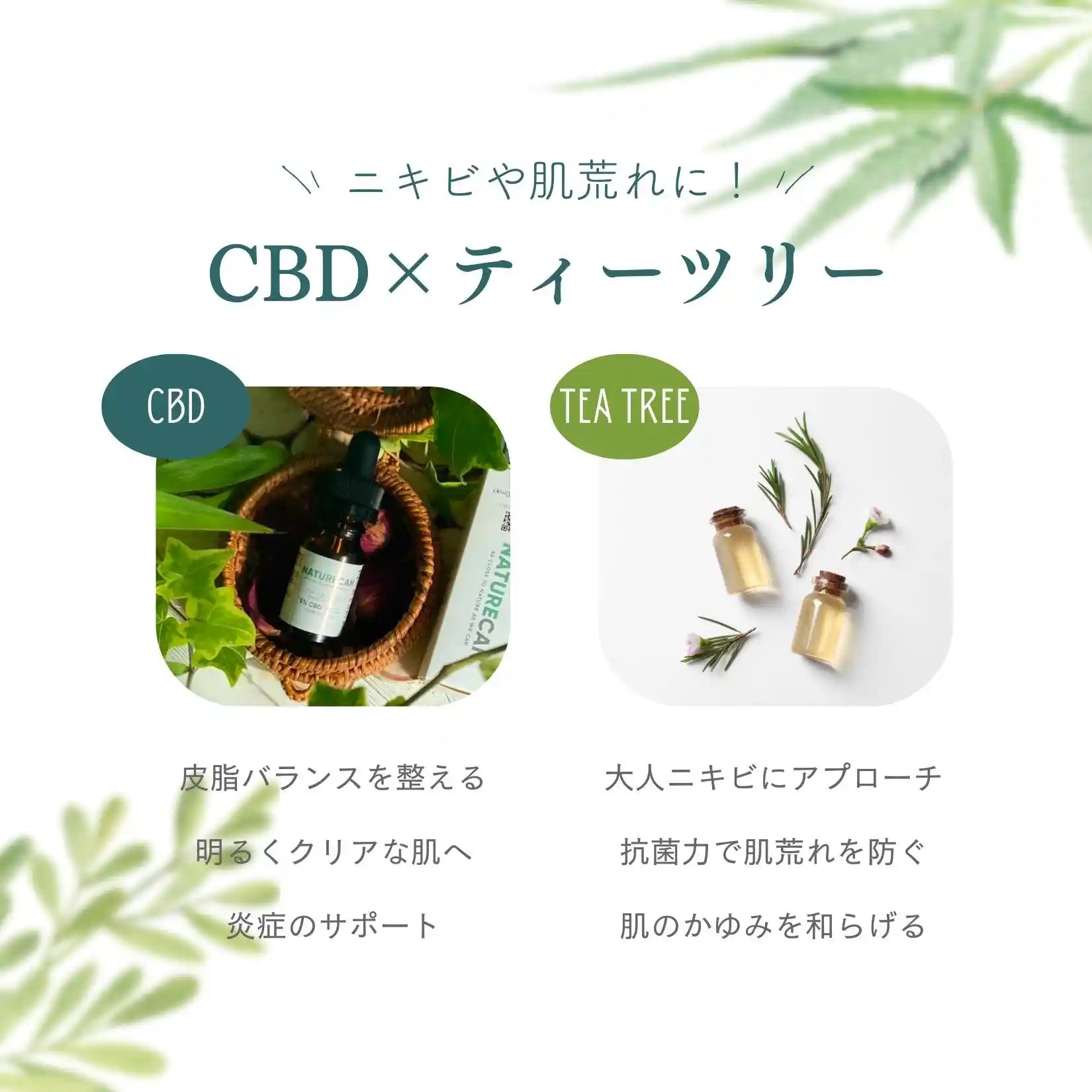 CBDティーツリークリーム