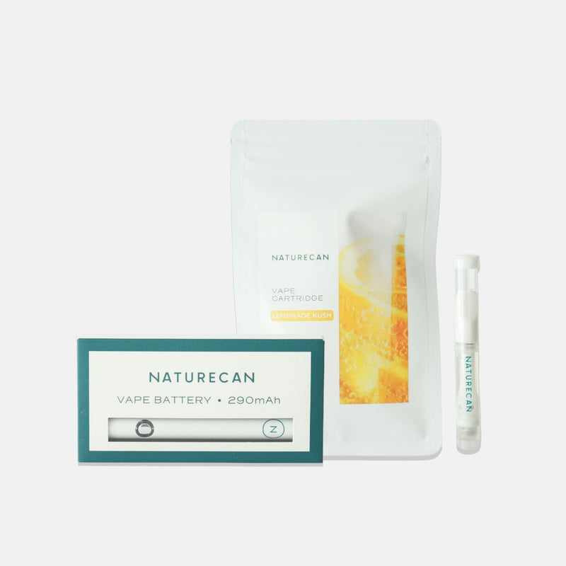 40％CBD充填済みベイプペンセット