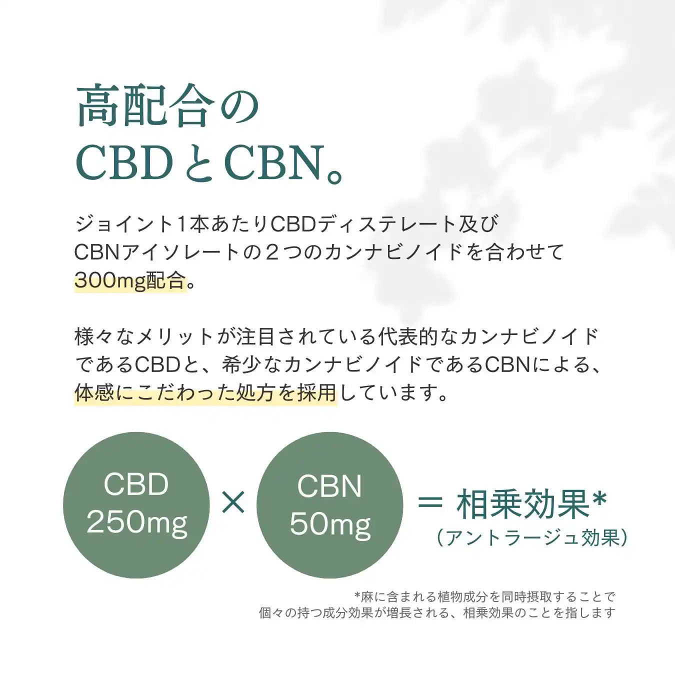 CBD 堅苦し アイソレート 20%含有量 巻きタバコ用