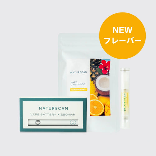 40％CBD充填済みベイプペンセット – Naturecan JP