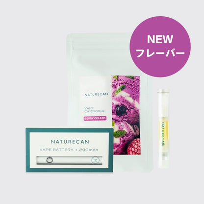 40％CBD充填済みベイプペンセット