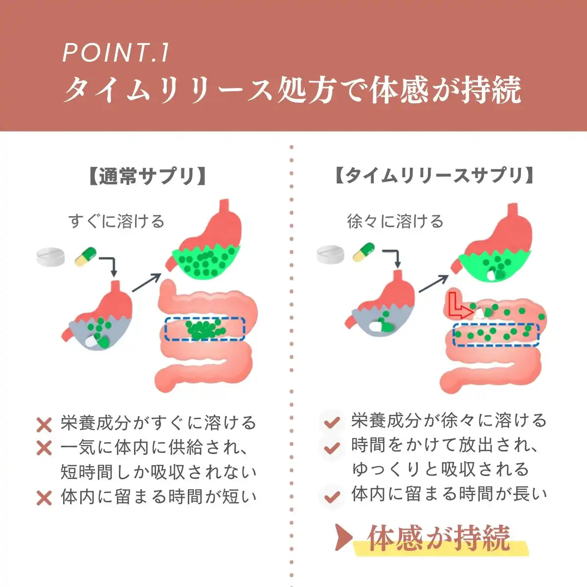アセロラ由来ビタミンC1000 | Naturecan Fitness (ネイチャーカン アセロラ由来ビタミンC1000 | Naturecan Fitness (ネイチャーカン