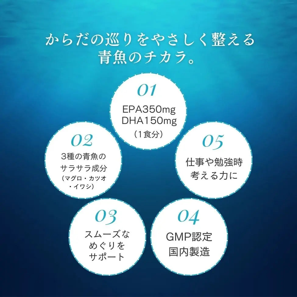 ビタミンバンクDHA120粒2箱 ビタミンバンクDHA120粒2箱