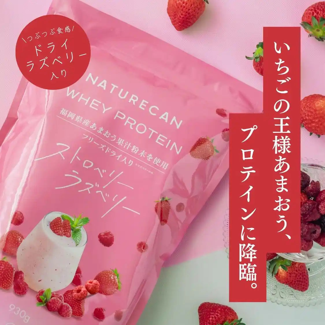 【期間限定】ホエイプロテイン（WPC）ストロベリーラズベリー