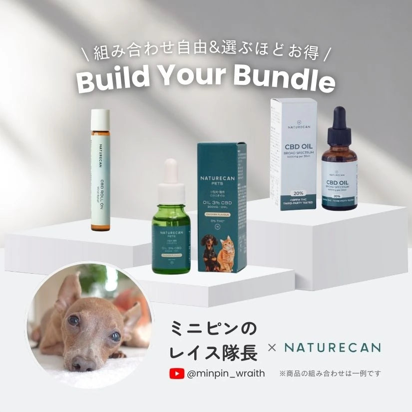 【選べる】ミニピンのレイス隊長セット