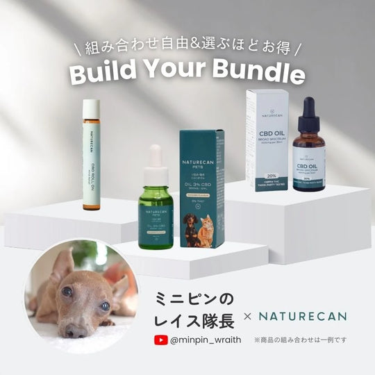 【選べる】ミニピンのレイス隊長セット