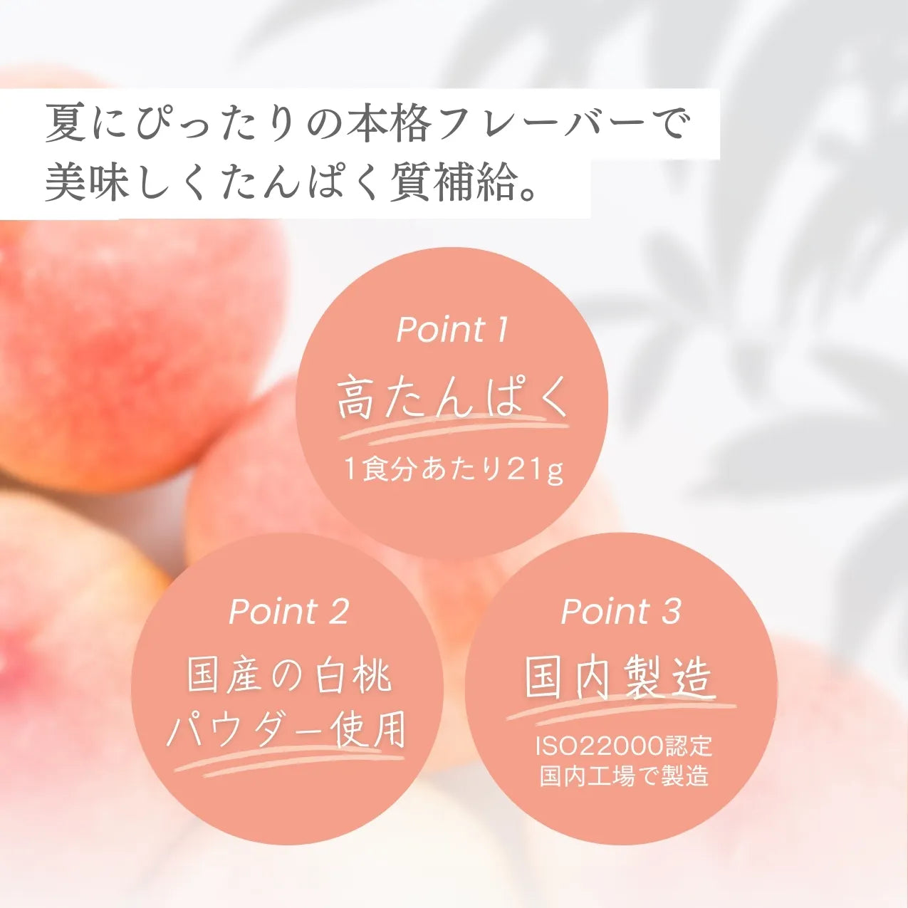 ホエイプロテイン（WPC）白桃ラッシー味