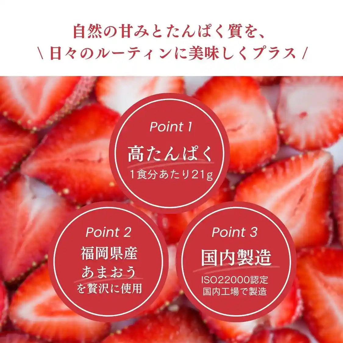 【期間限定】ホエイプロテイン（WPC）ストロベリーラズベリー