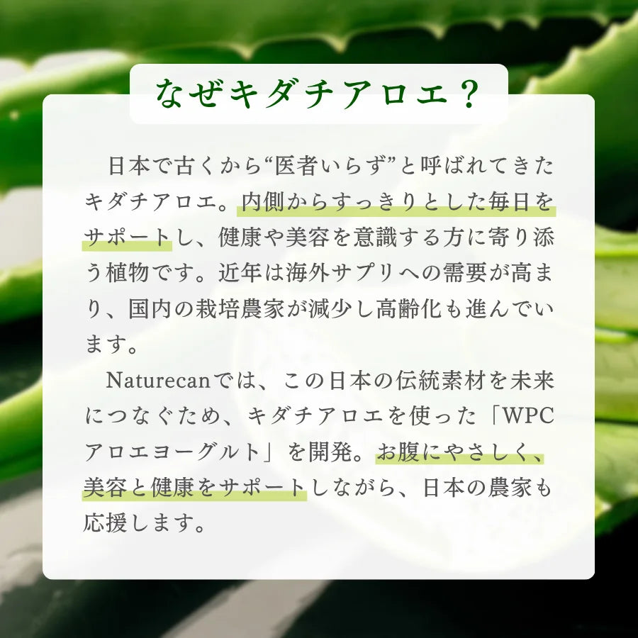 【期間限定】ホエイプロテイン（WPC）アロエヨーグルト