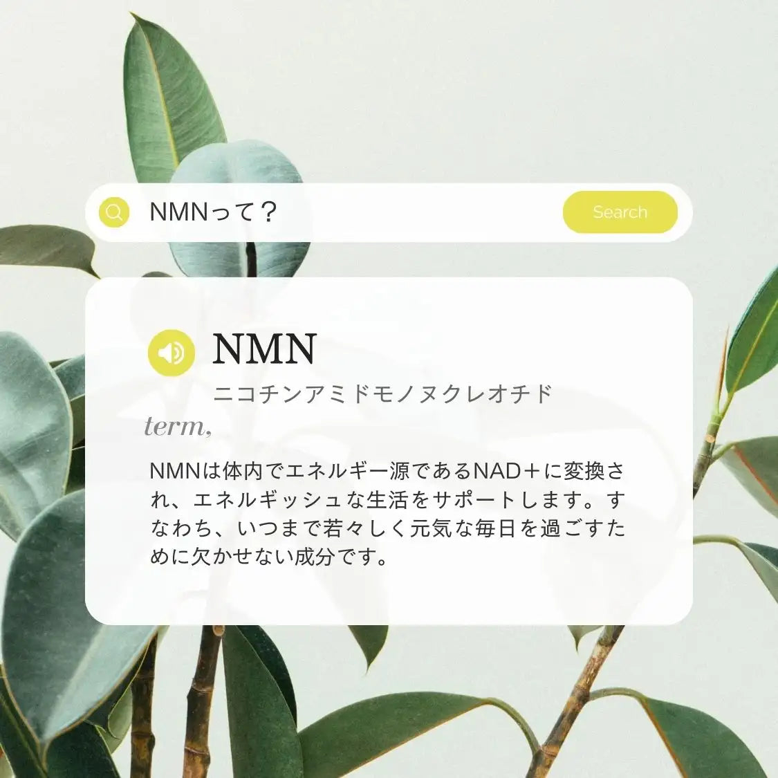 ロンジェビティトータルケアセット