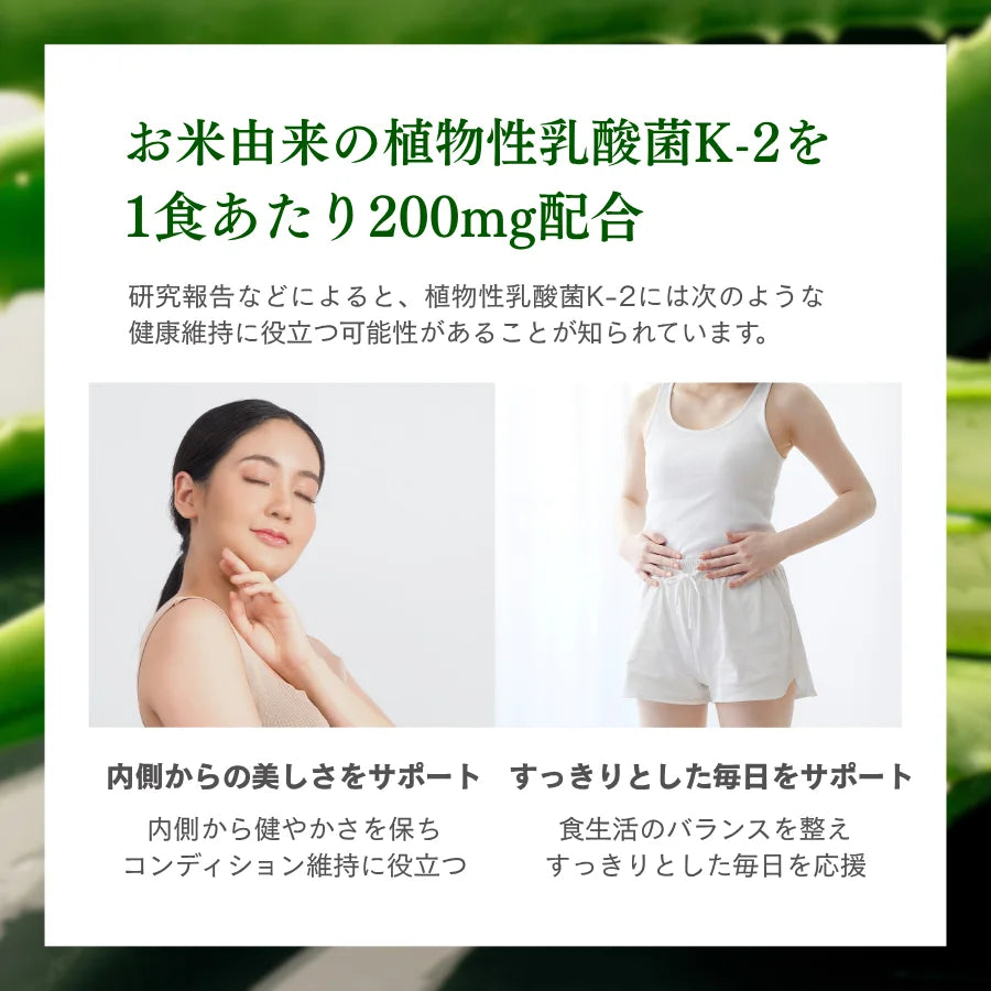 【期間限定】ホエイプロテイン（WPC）アロエヨーグルト