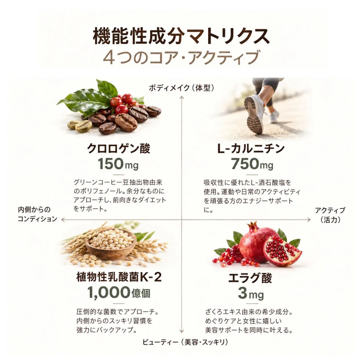 ダイエットプロテインコーヒー【先行販売 シェイカー付き】