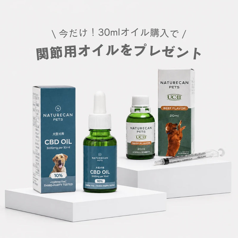 大型犬用 10%CBDオイル
