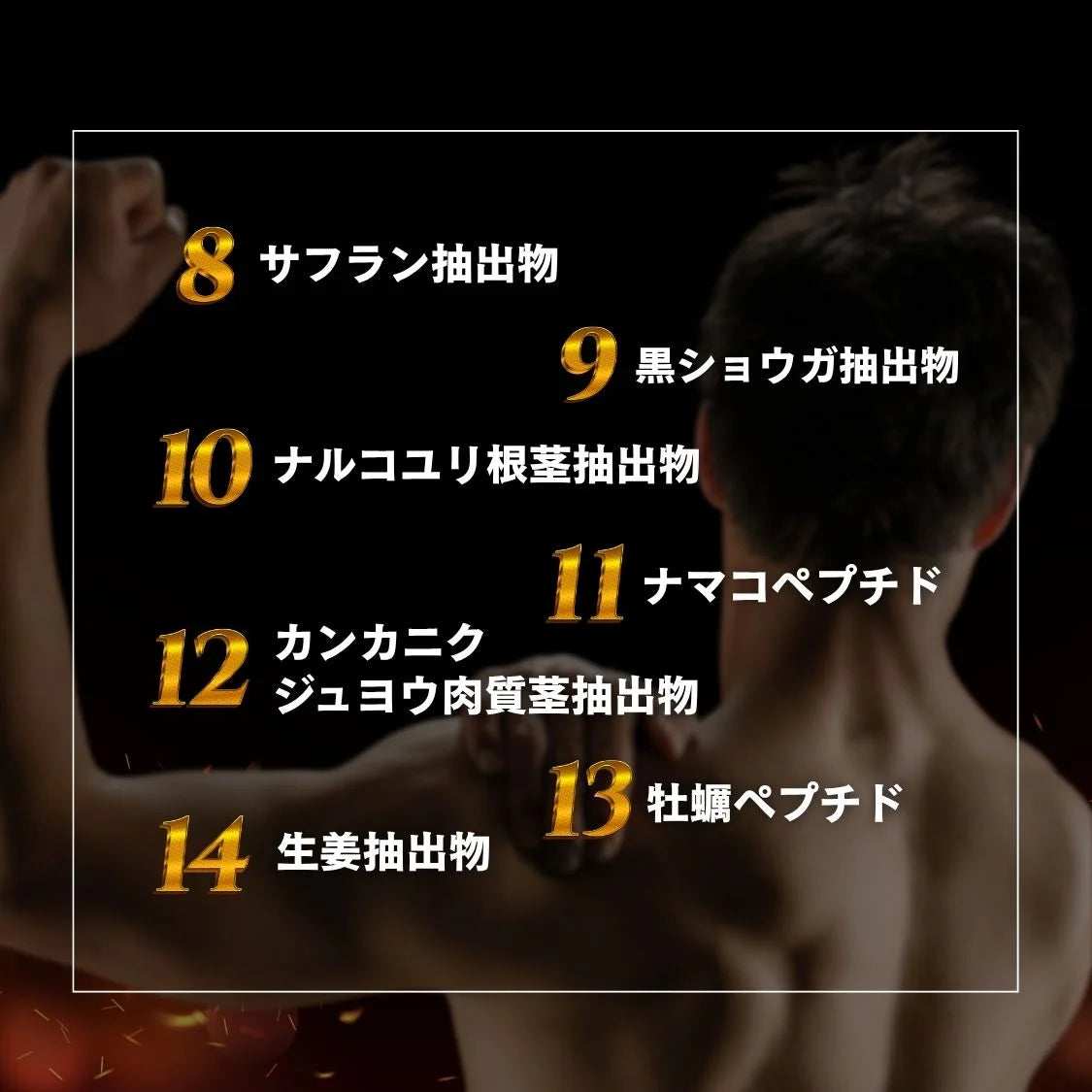 VITABOOST α（ビタブーストアルファ）