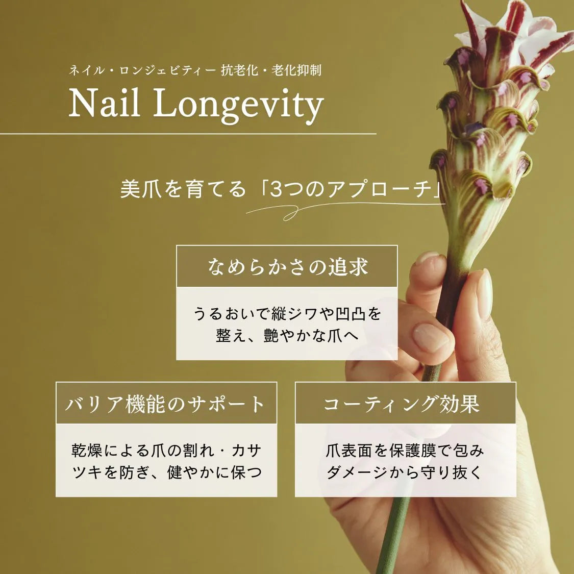 mainatura ネイル＆リラックスオイル（Nail & Relax Oil）