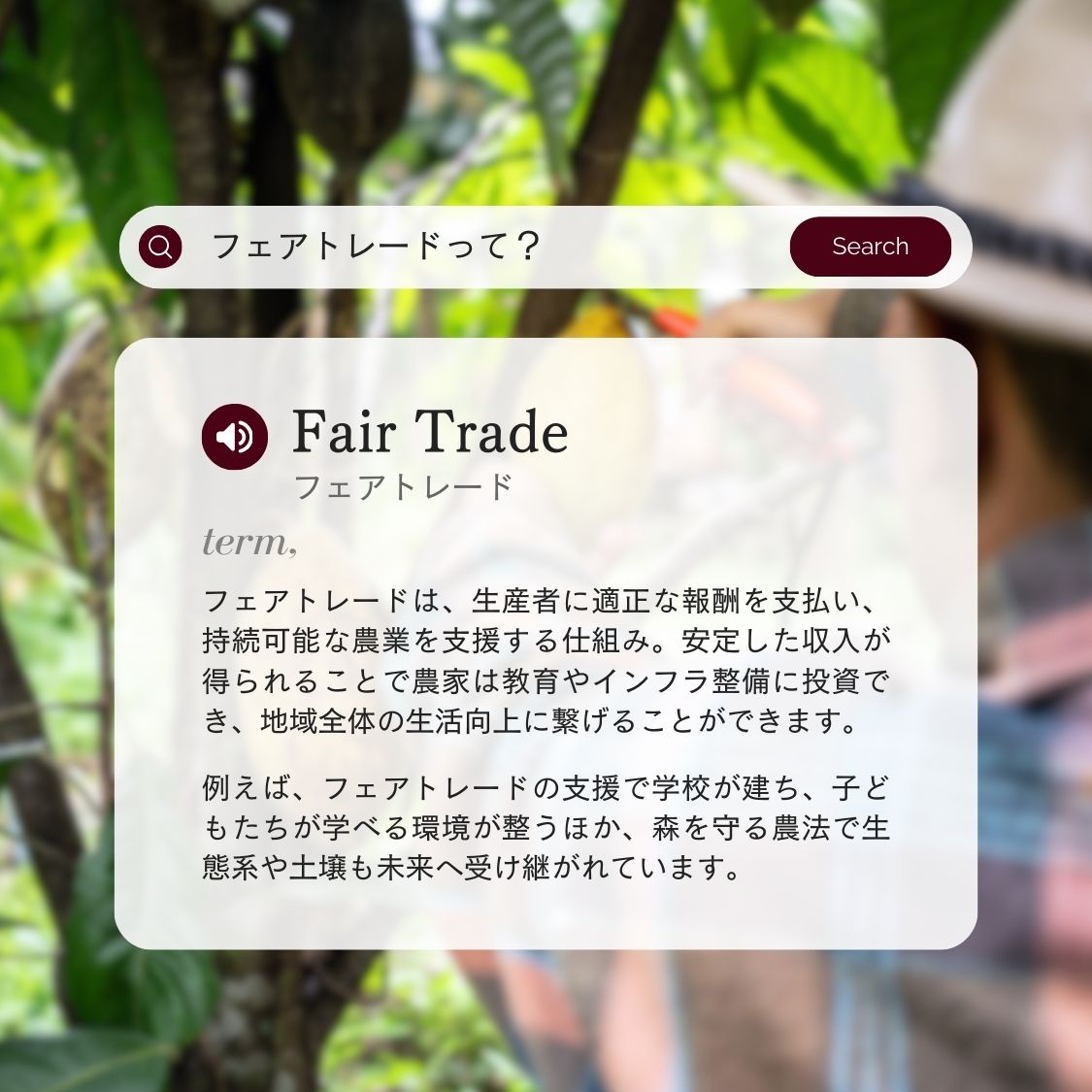 ホエイプロテイン（WPC）ダークチョコレート（有機カカオ使用）