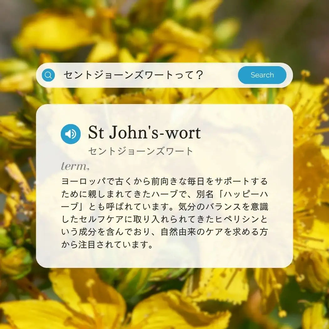 Mind Care Plus CBDカプセル