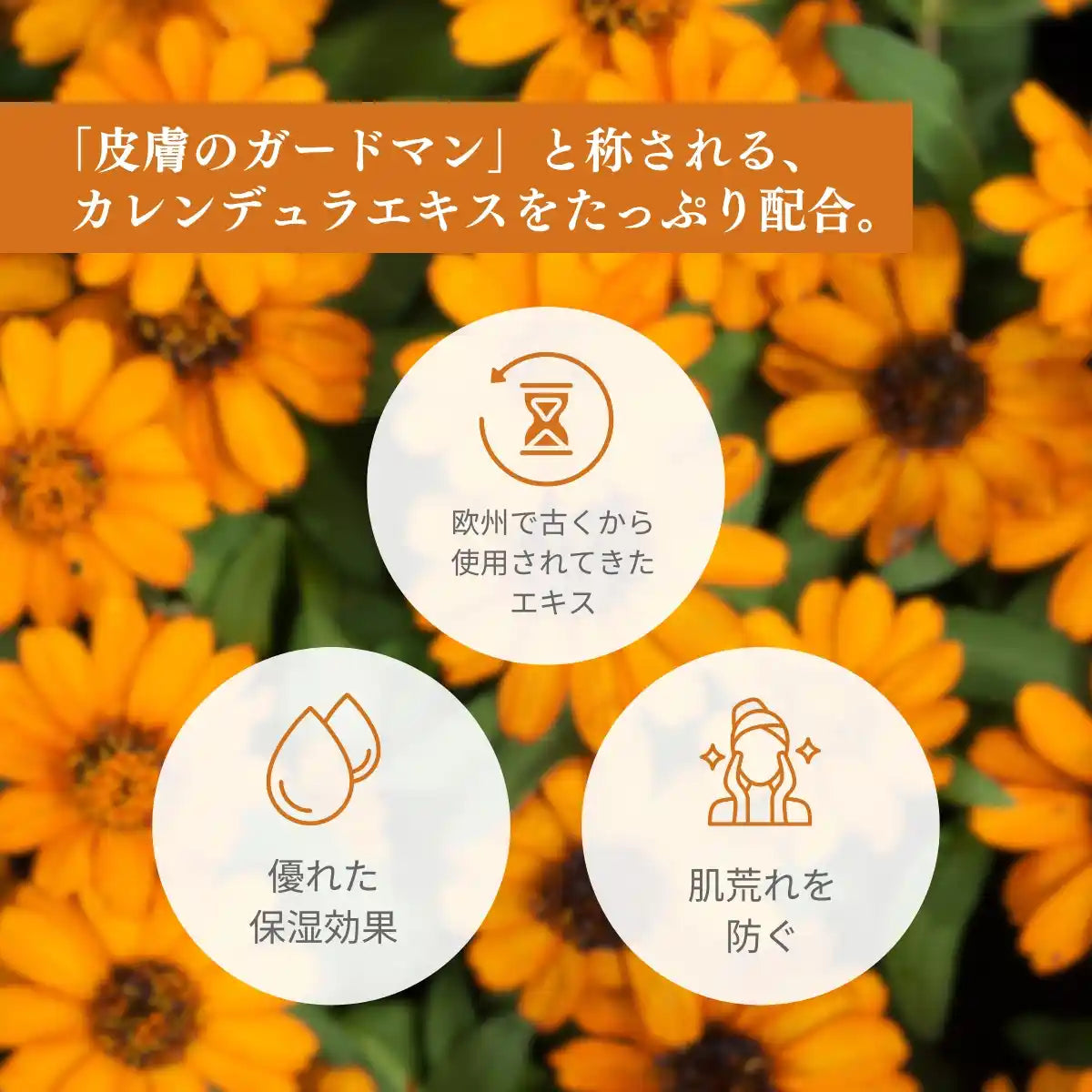 CBDカレンジュラクリーム | Naturecan（ネイチャーカン） – Naturecan JP