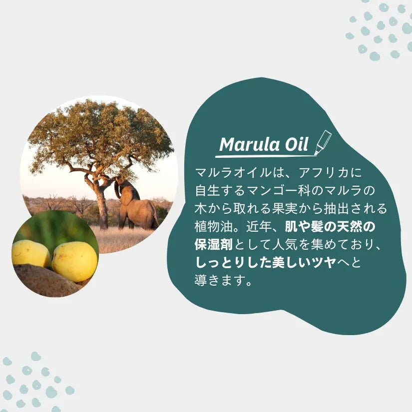 CBDフェイス・ヘアオイルセラム