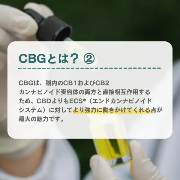 CBGグミ（ビーガン対応）