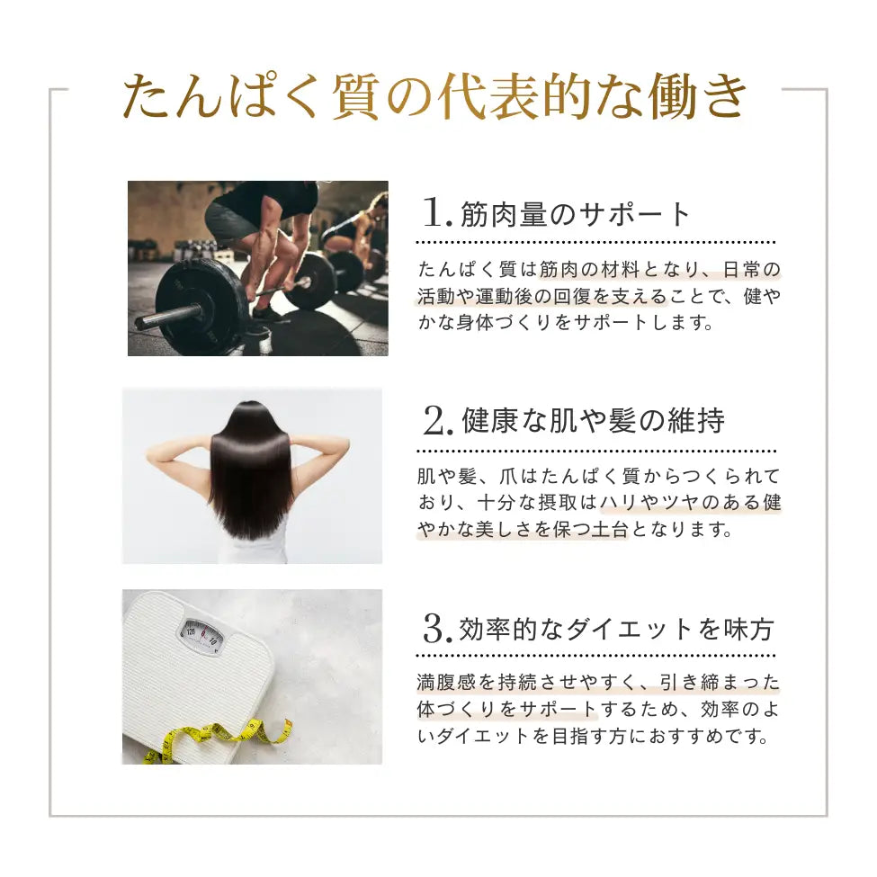 ホエイプロテイン（WPC）西尾の抹茶
