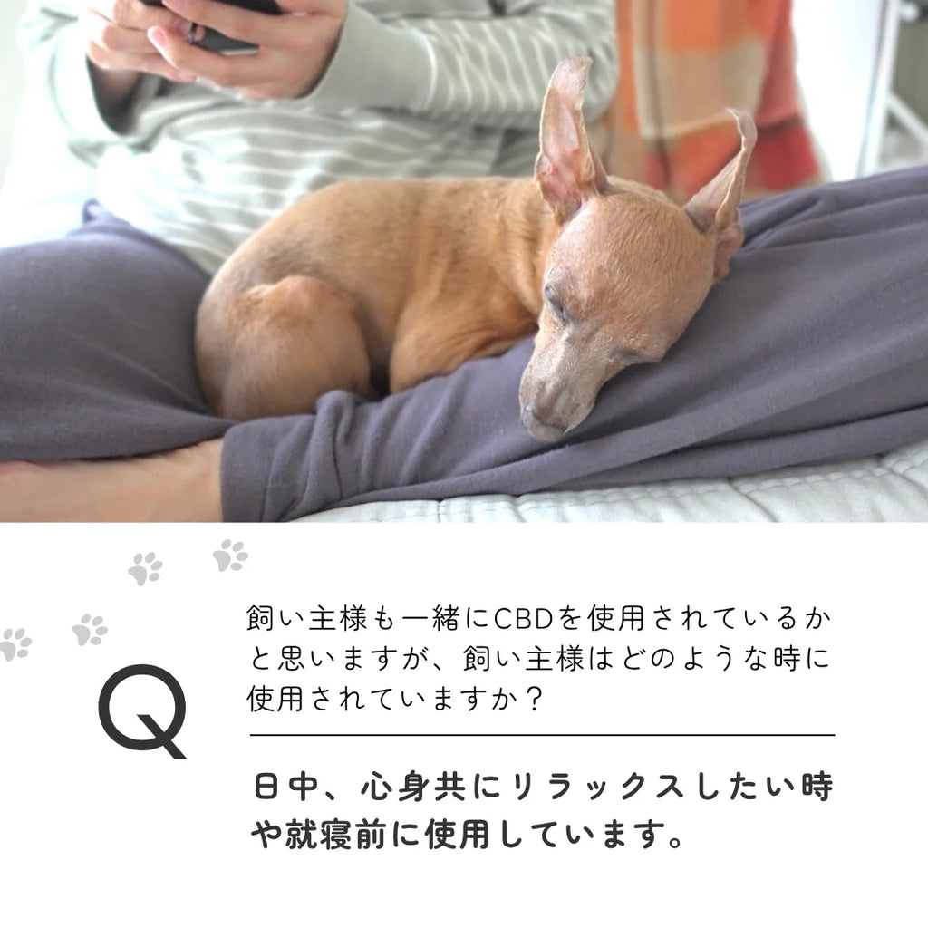 小型犬・猫用3%CBDオイル