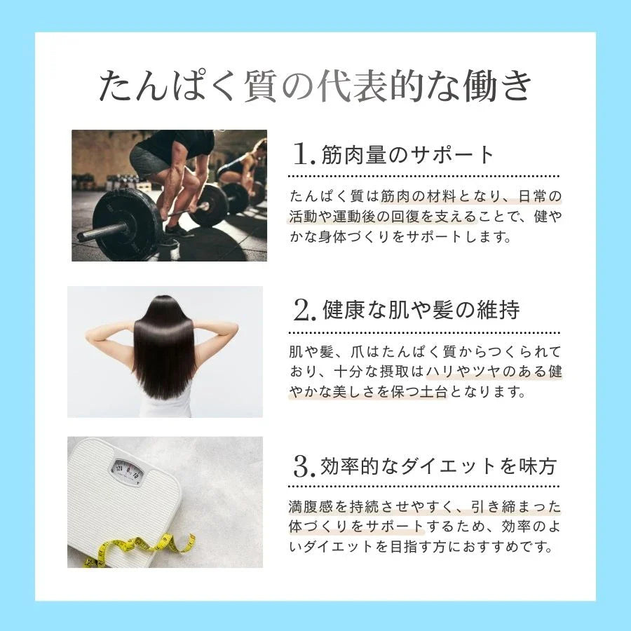 ホエイプロテイン（WPC）ホワイトチョコレート