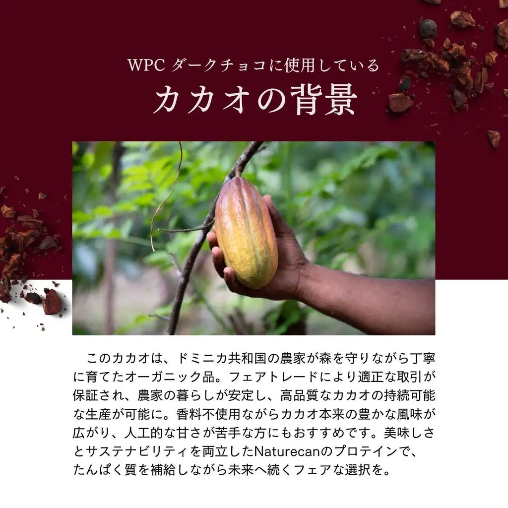 ホエイプロテイン（WPC）ダークチョコレート（有機カカオ使用）