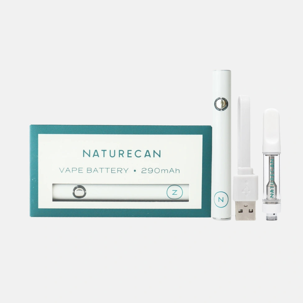 ベイプペンキット