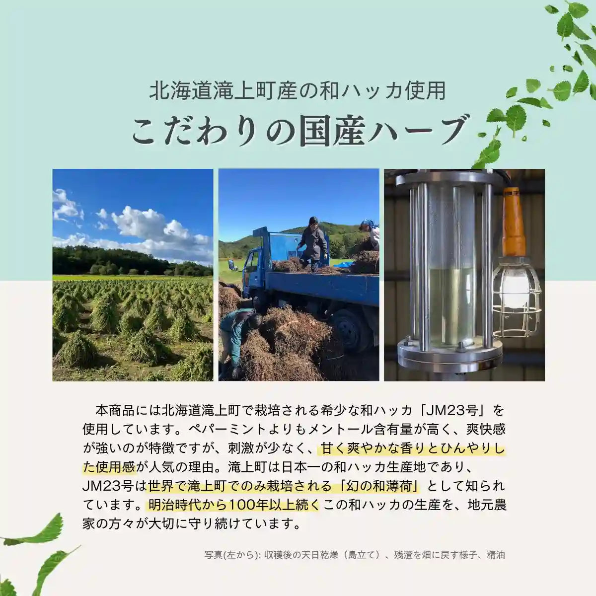 CBDロールオン