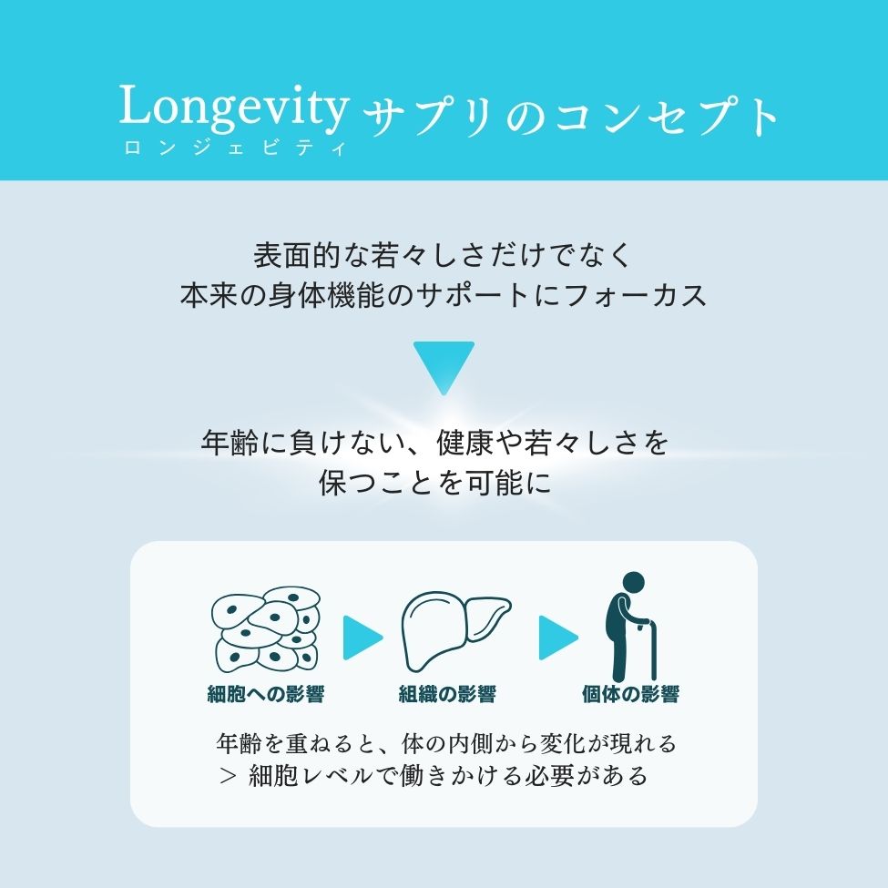 世界旅行ちゃん最安バンドル