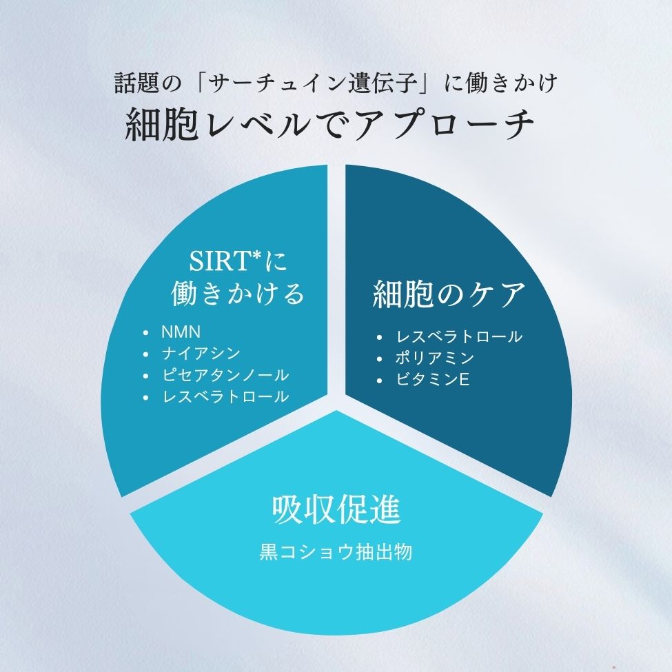 世界旅行ちゃん最安バンドル