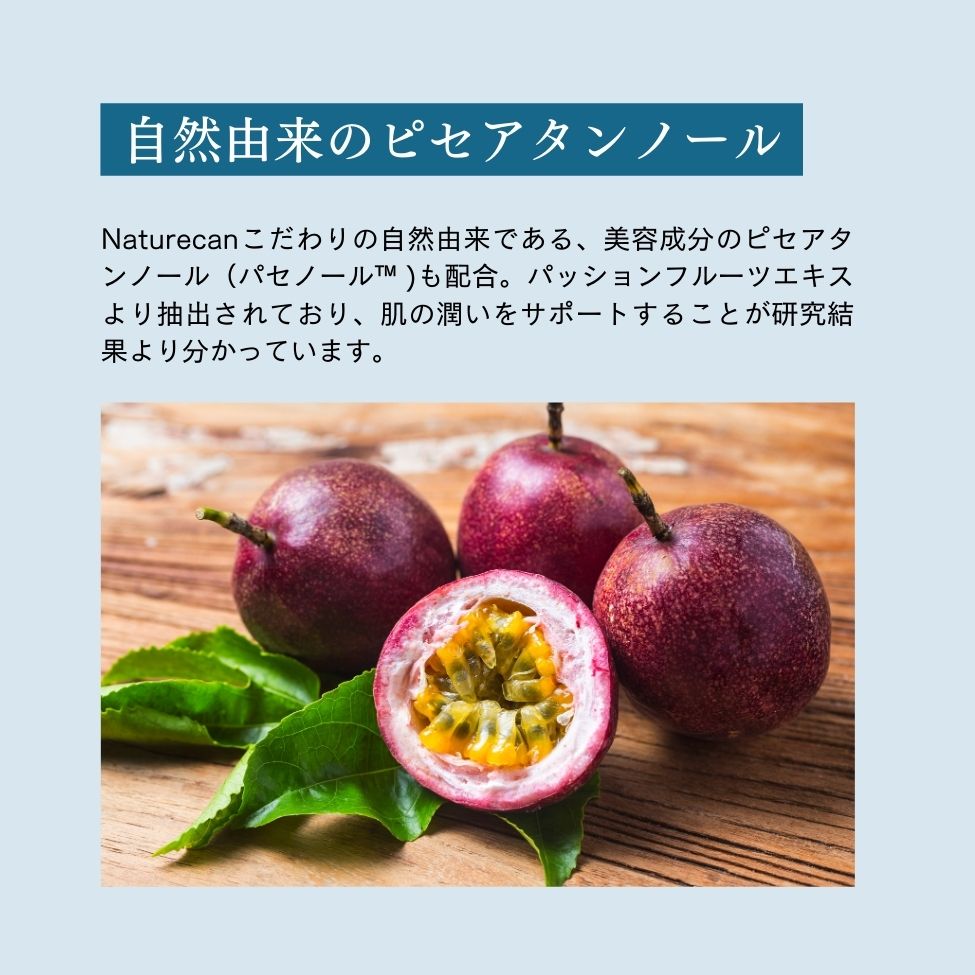 世界旅行ちゃん最安バンドル