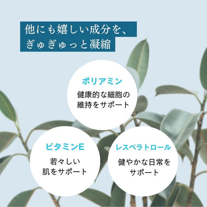 世界旅行ちゃん最安バンドル