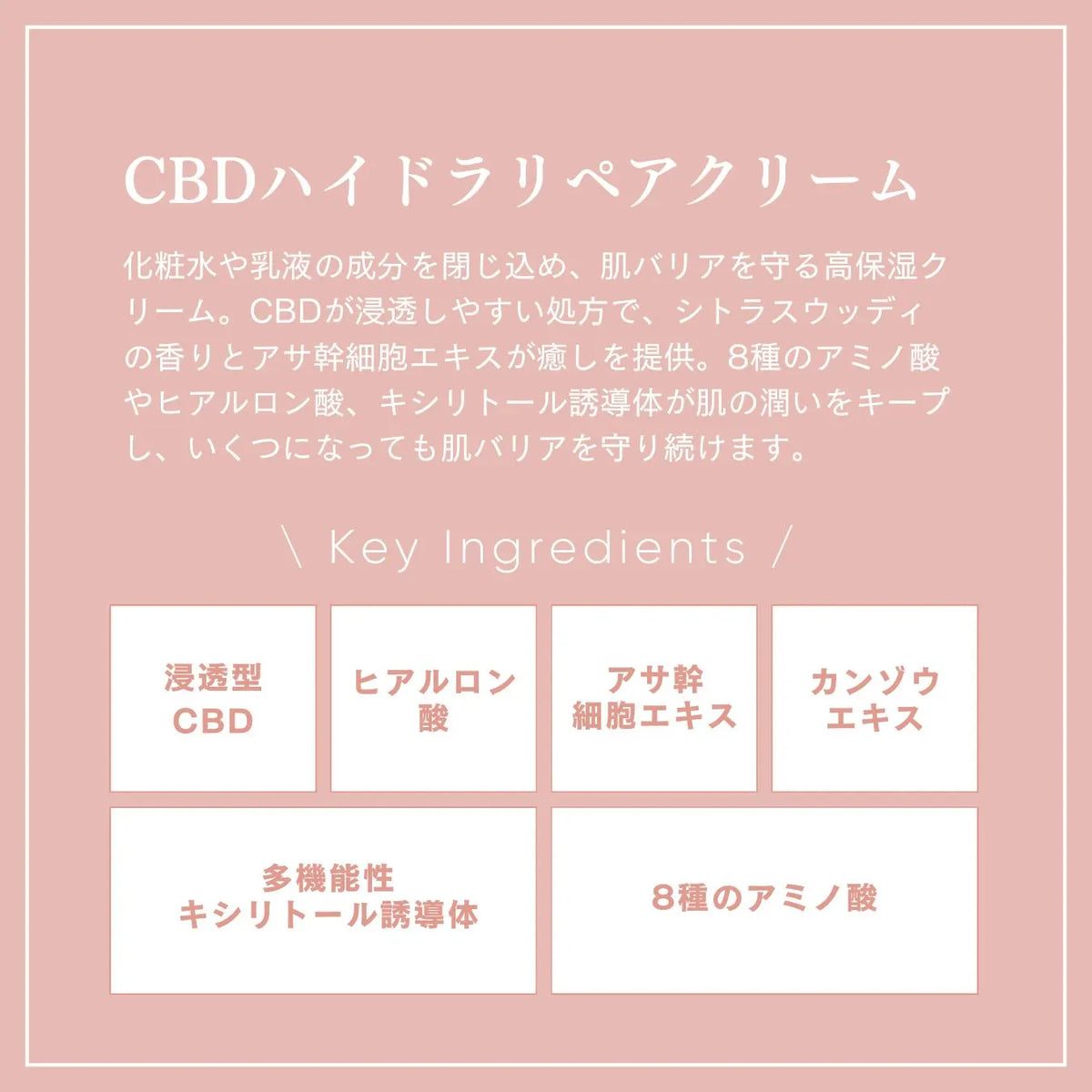 CBDハイドラリペア スキンケアセット | Naturecan(ネイチャーカン CBDハイドラリペア スキンケアセット | Naturecan(ネイチャーカン