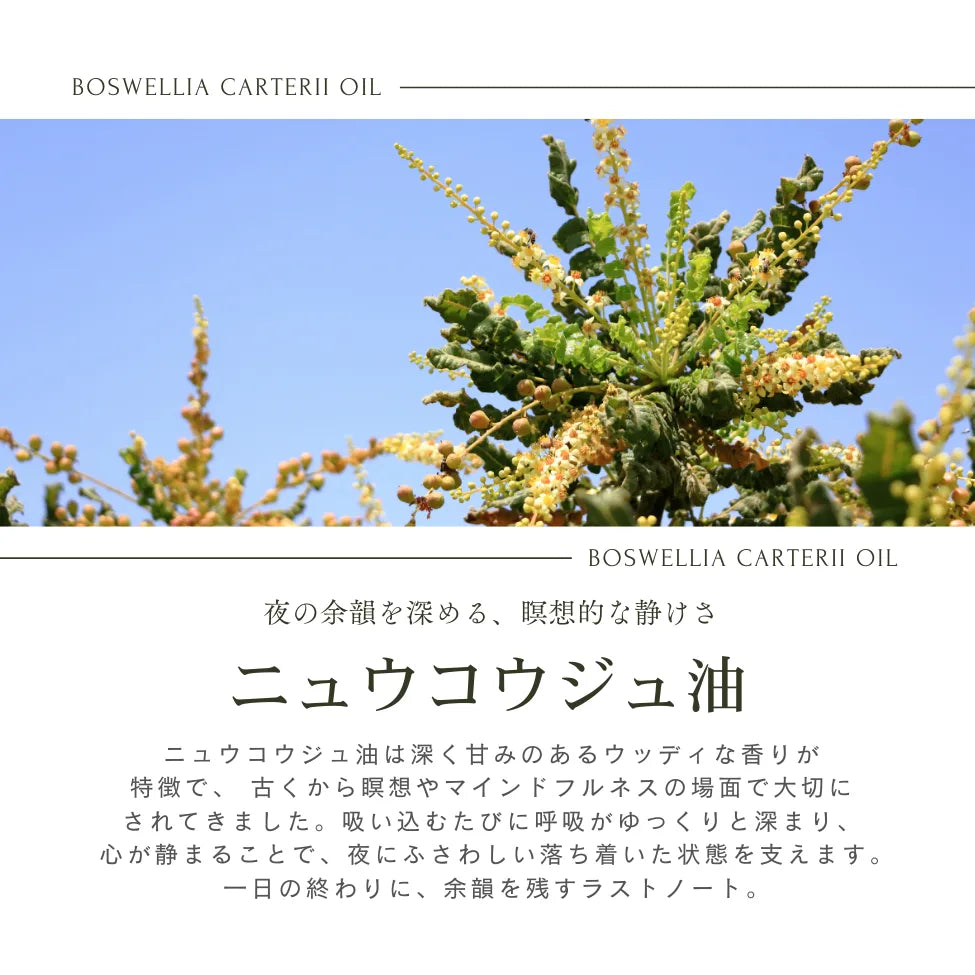 CBDロールオン Dream Essence（ドリームエッセンス）