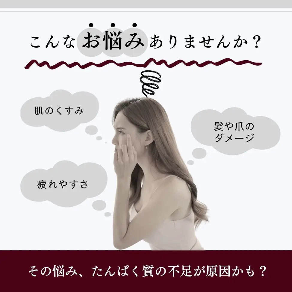 ホエイプロテイン（WPC）ダークチョコレート（有機カカオ使用）