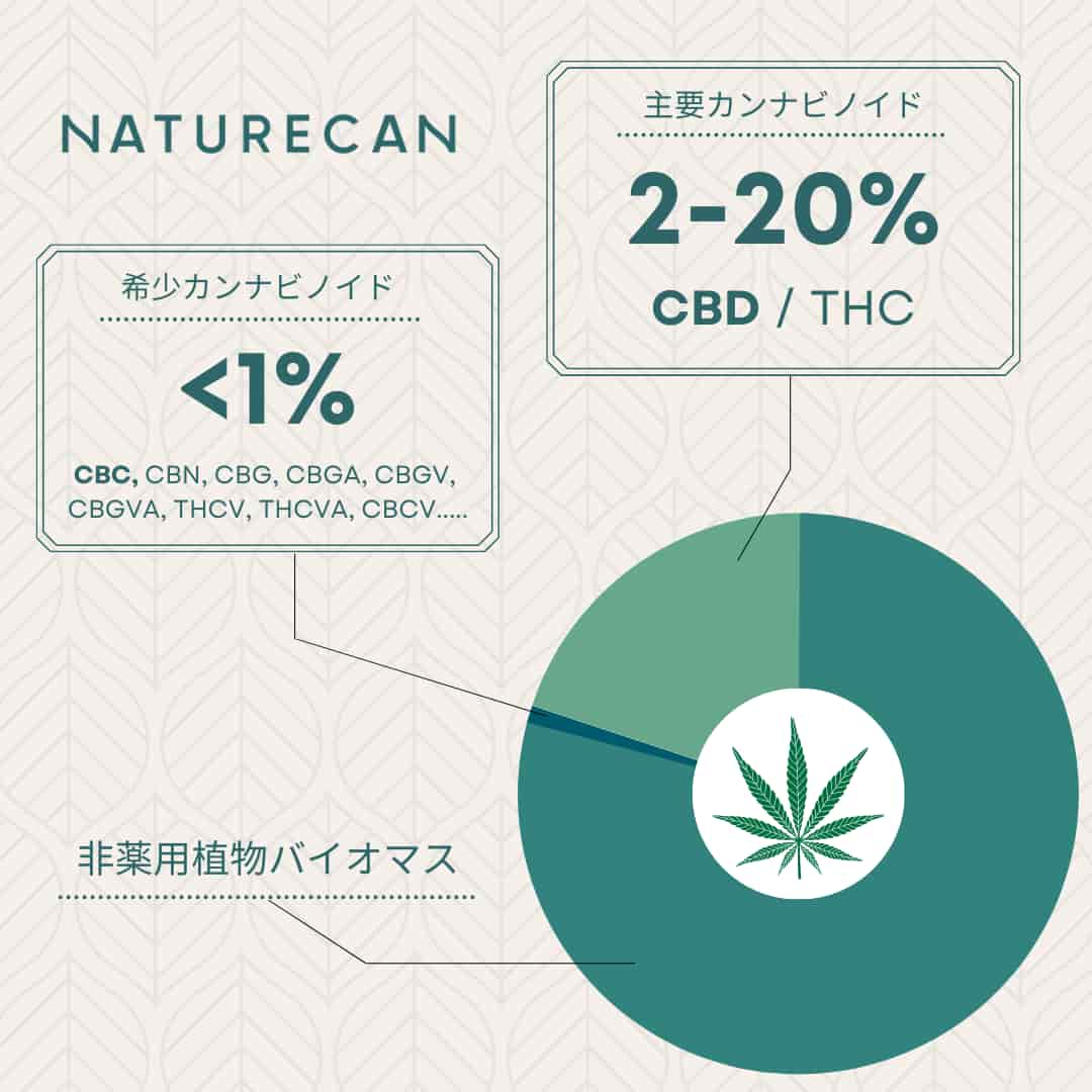低価格&高品質な10%CBCオイル - Naturecan ネイチャーカン