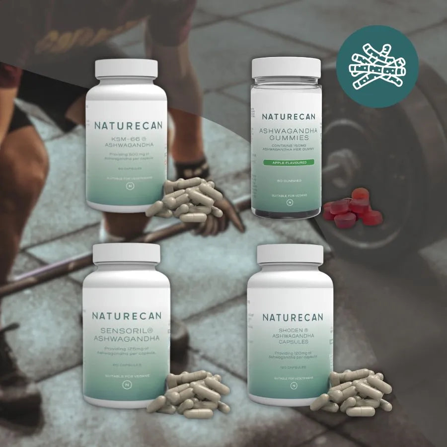 筋肉あるあるスペシャルコラボセット【海外発送】